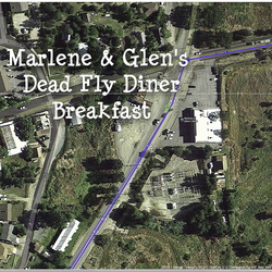 Dead Fly Diner